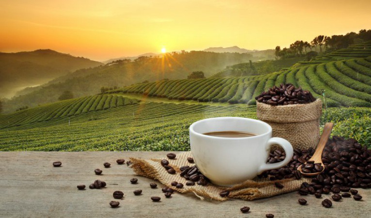 Blockchain Technology in Coffee Industry