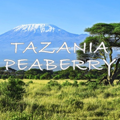  Tanzania Peaberry Coffee from Mount Kilimanjaro